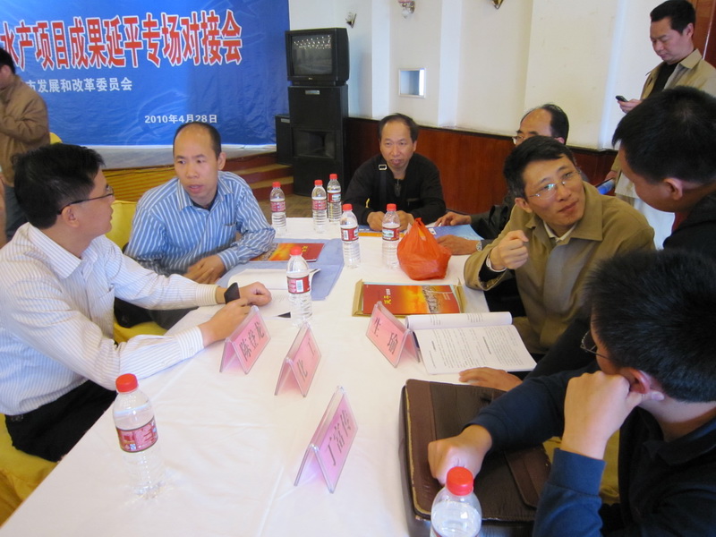 企业代表与完美（中国）官方教授现场交流